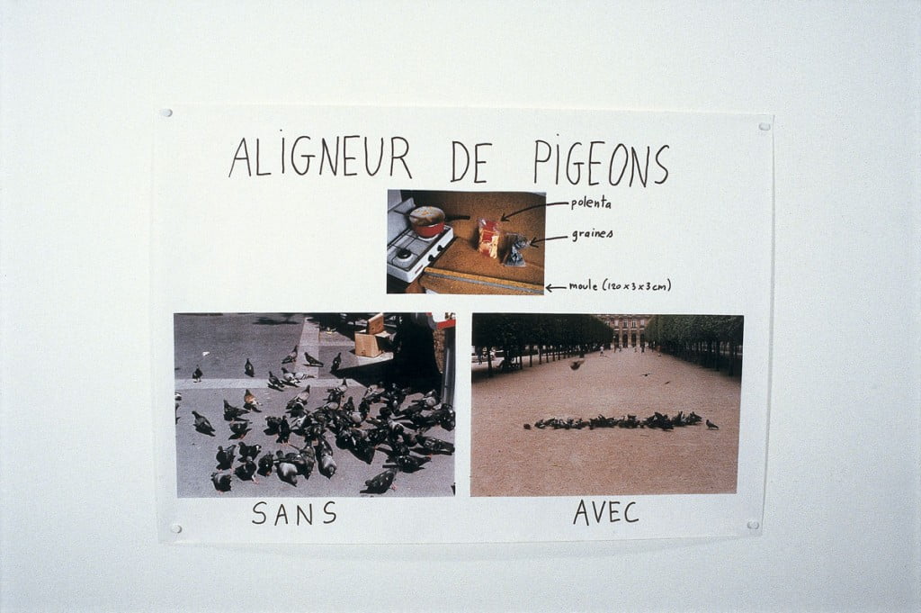1996-ALIGNEUR-DE-PIGEONS