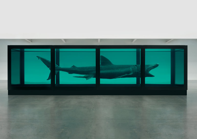 damien-hirst-formol-aquarium-requin.jpg