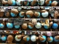 Outgrowth (Thomas Hirschhorn, 2005)2
