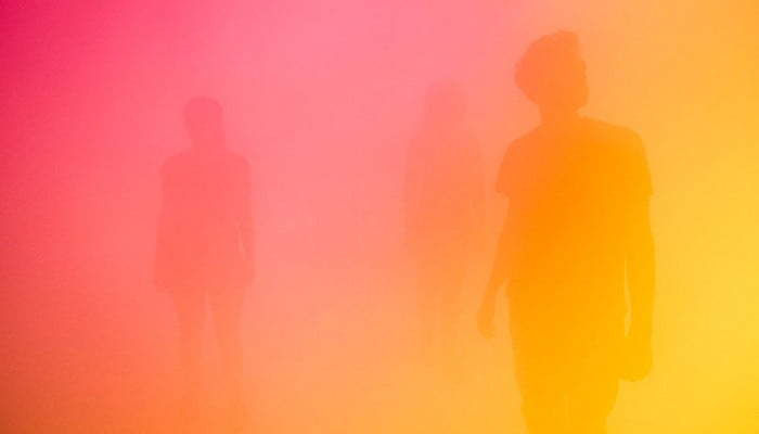 Ann Veronica Janssens