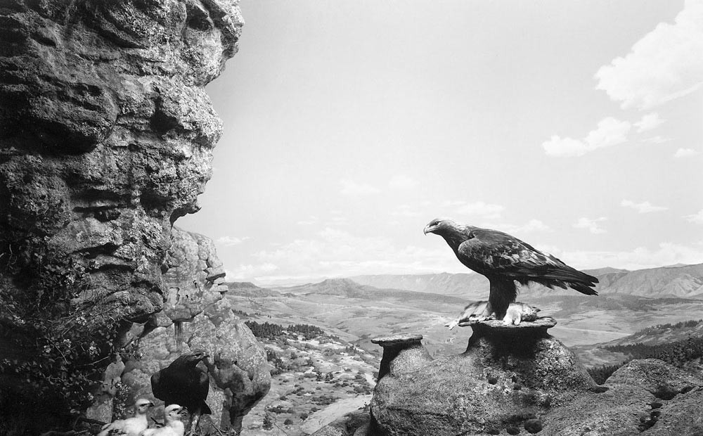 Hiroshi Sugimoto