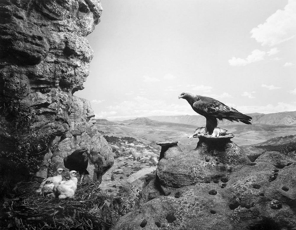 Hiroshi Sugimoto