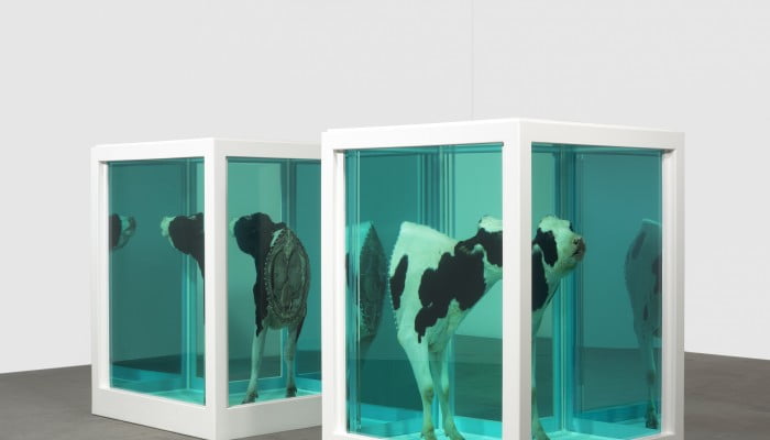 Damien Hirst